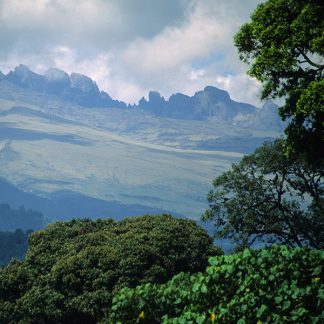 Certified Carbon Reduction Manager (CRM®)